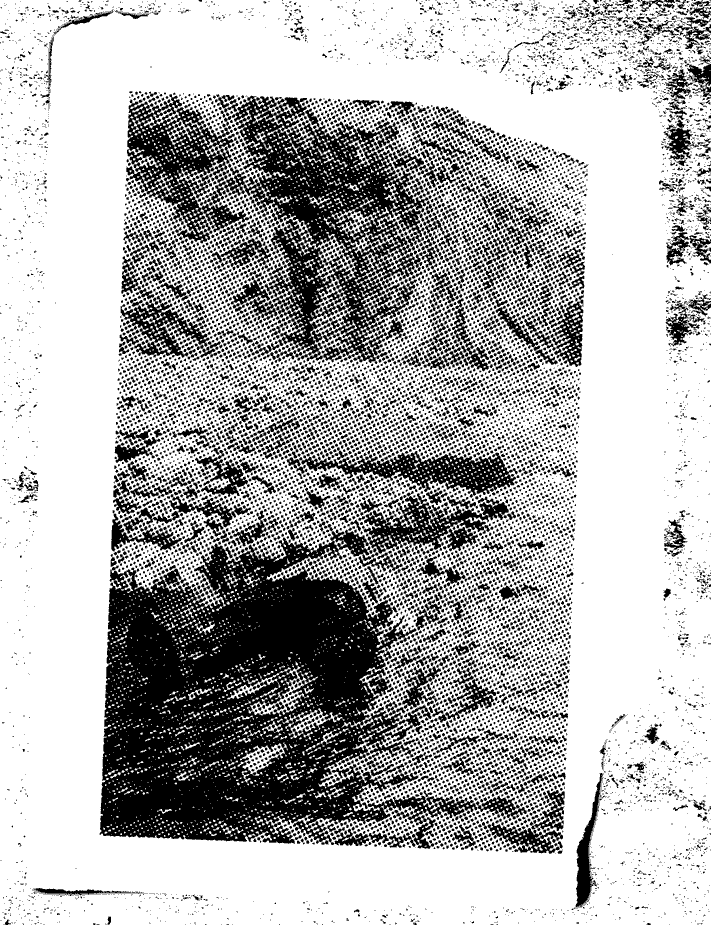 Alt text: Inverted version of original image. Note: original version of the photo looked like it was already inverted, so this version looks normal by being inverted twice. Picture of a torn piece of paper with a halftone image on it lying on a stone like background. Halftone image shows a Tyler lying in a shallow stream next to rocks. The way he is lying makes him appear to be almost dead. Because of the angle, only the lower half of his body is visible and not his face. A cliff can be seen in the background. Tyler is wearing black pants and a lighter colored shirt with black boots. This is the same setting and outfit as the Jumpsuit music video.