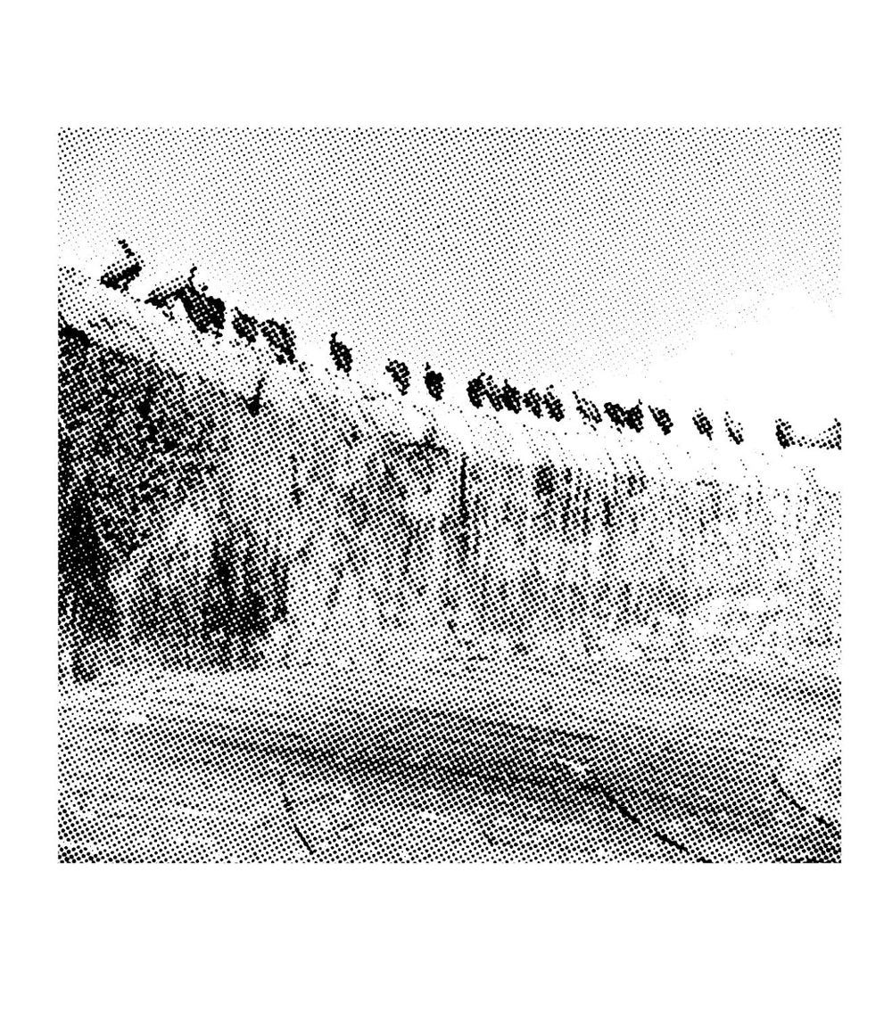 Alt text: Halftone image of vultures sitting on stone wall.